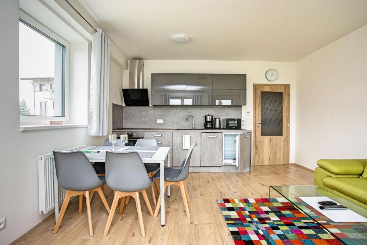 Green Apartment Klinovec By Mountain Ways Loučná pod Klínovcem Екстериор снимка