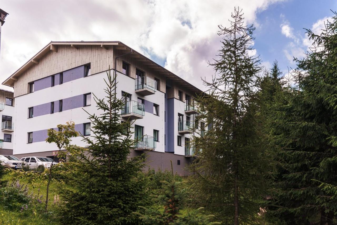 Green Apartment Klinovec By Mountain Ways Loučná pod Klínovcem Екстериор снимка