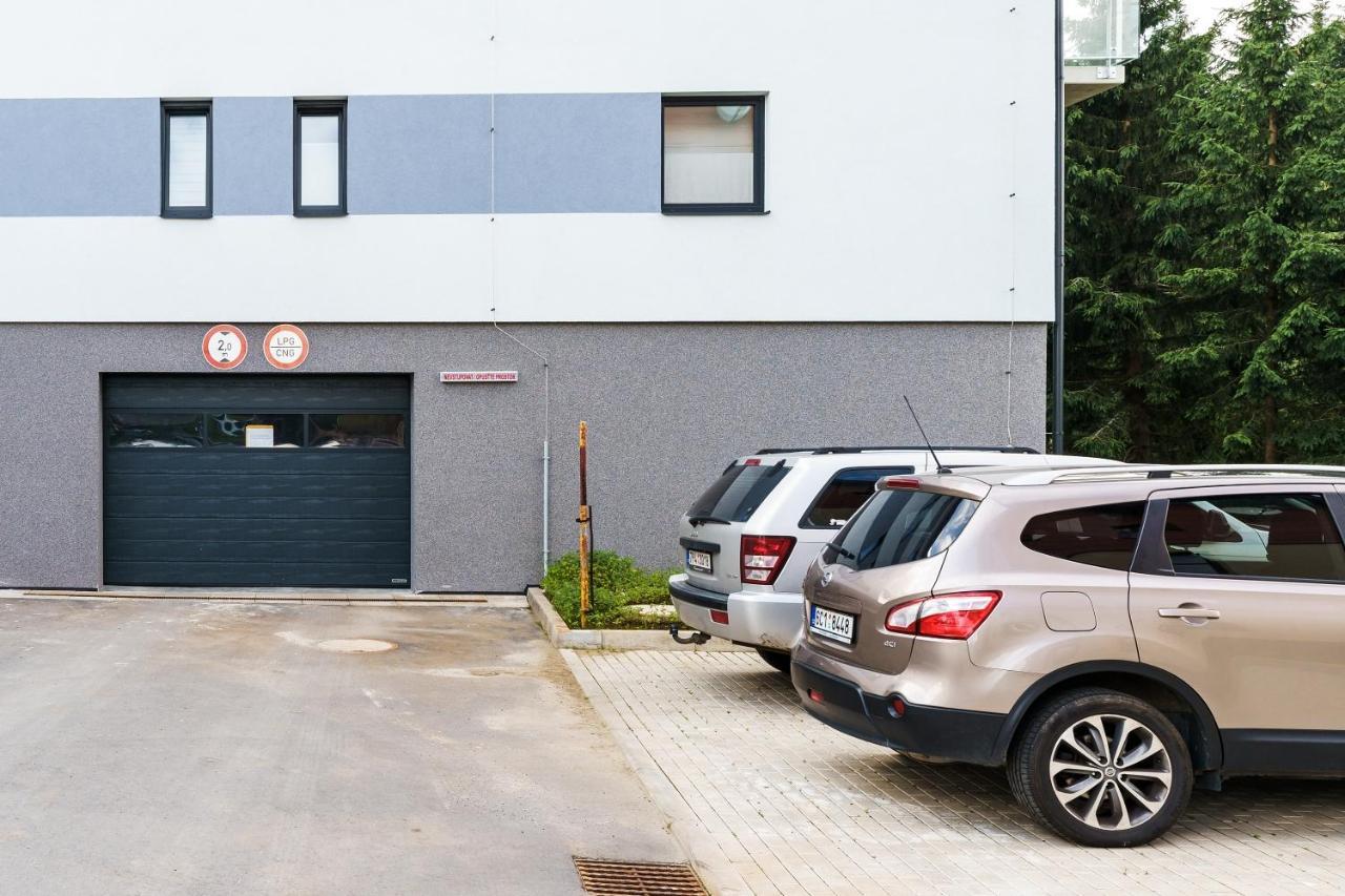 Green Apartment Klinovec By Mountain Ways Loučná pod Klínovcem Екстериор снимка